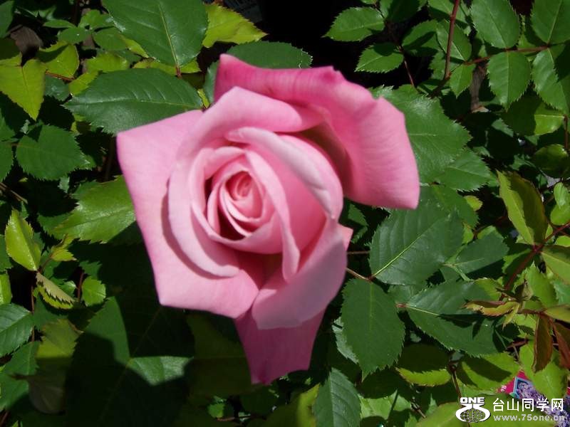 2010 084.jpg