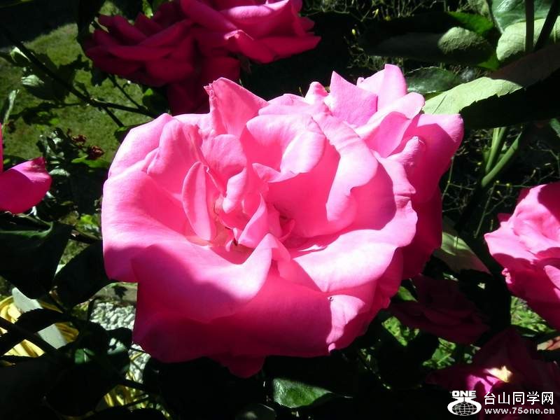 2010 043.jpg