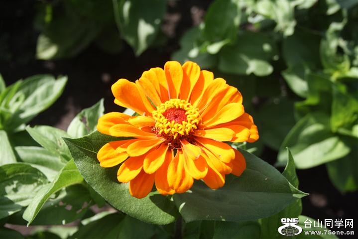 Picture 031 (Small).jpg