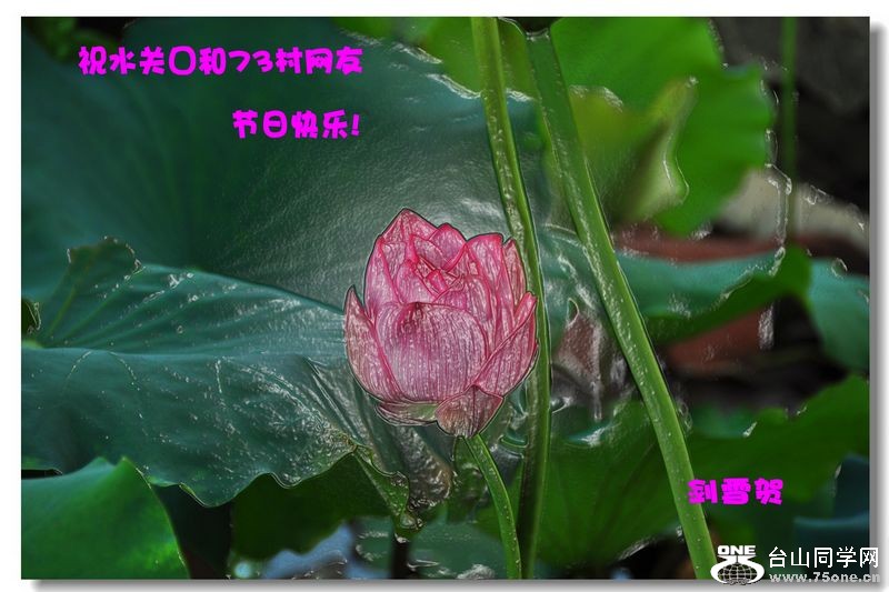 DSC_0016_conew5.JPG