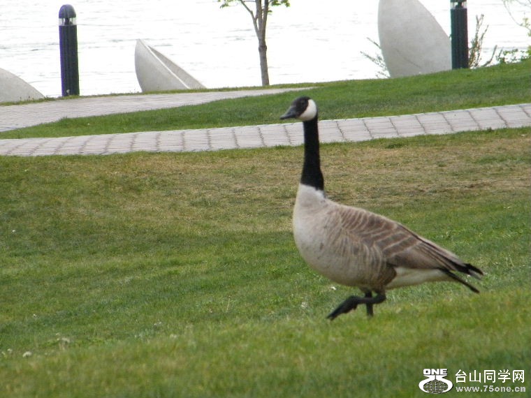 DSCF9449.JPG