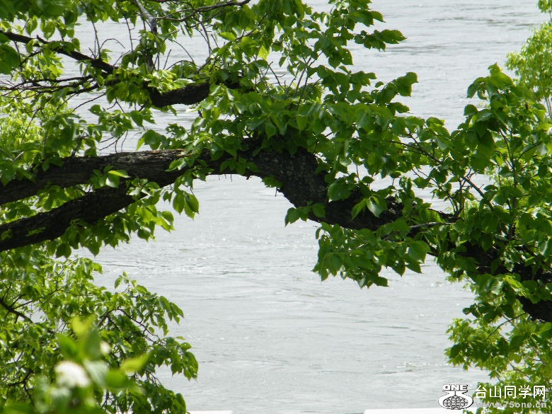 DSCF0165.JPG