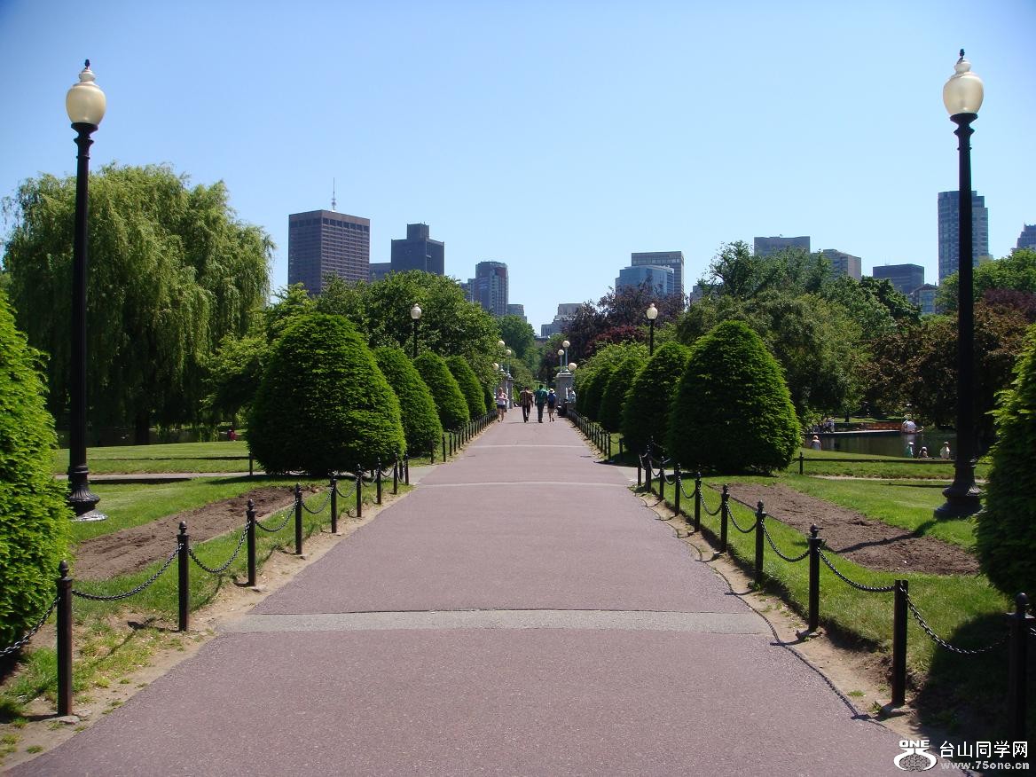 DSC03529.JPG