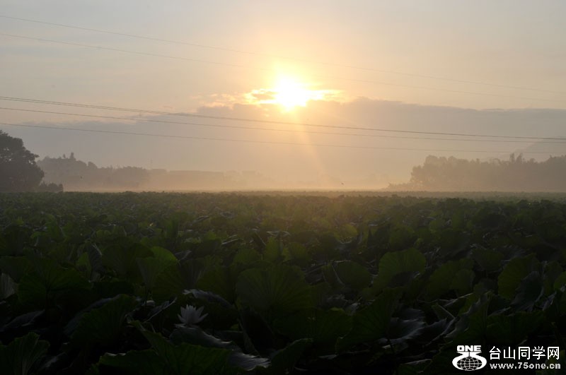 DSC_2137.jpg