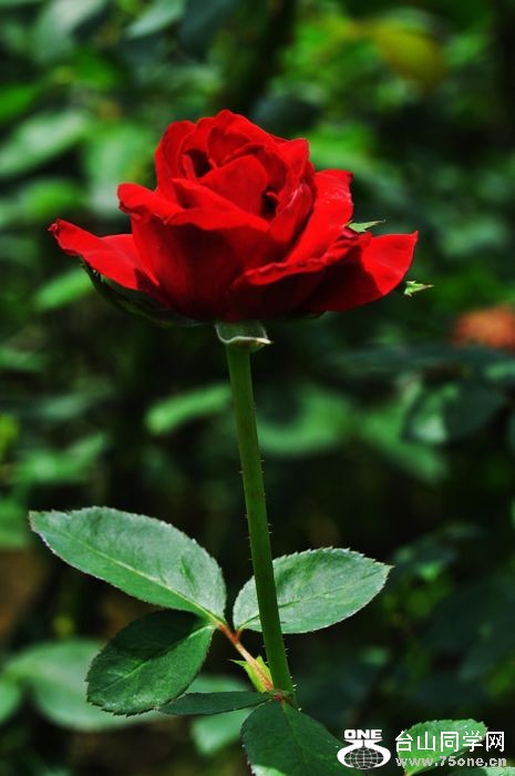 DSC_0025.JPG