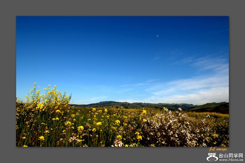 napa 11.jpg