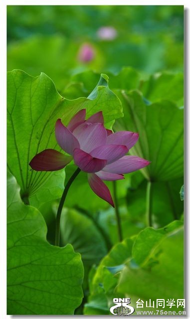 nEO_IMG_DSC_0138.jpg