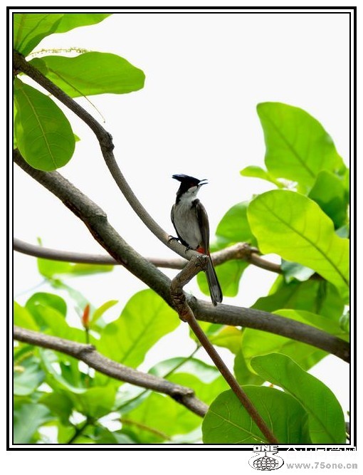 nEO_IMG_DSC_0293_conew1.jpg