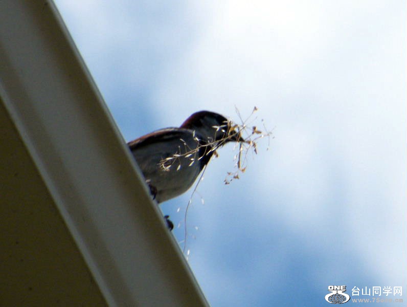 DSCF0369.JPG