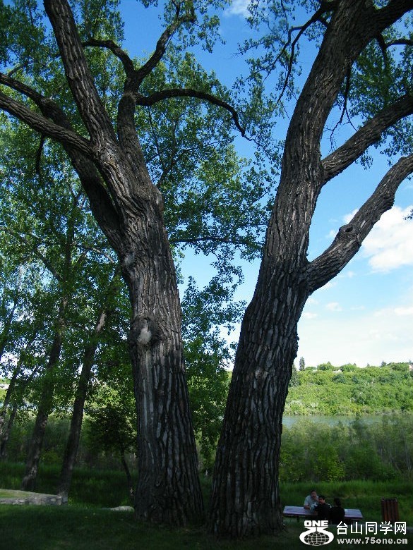 DSCF0031.JPG