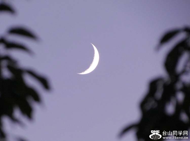 IMG_6963.JPG