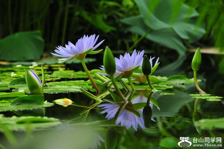 DSC_6413_conew1.jpg