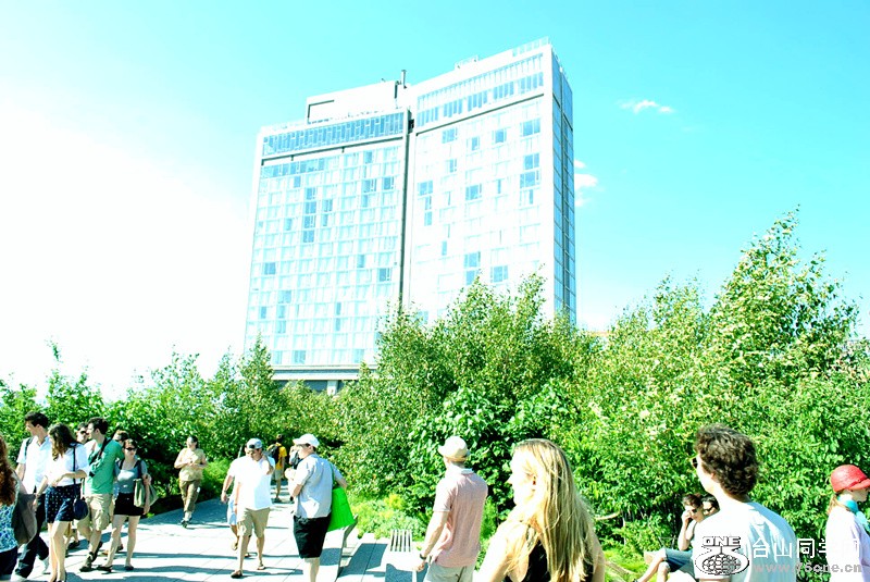Picture 886.jpg