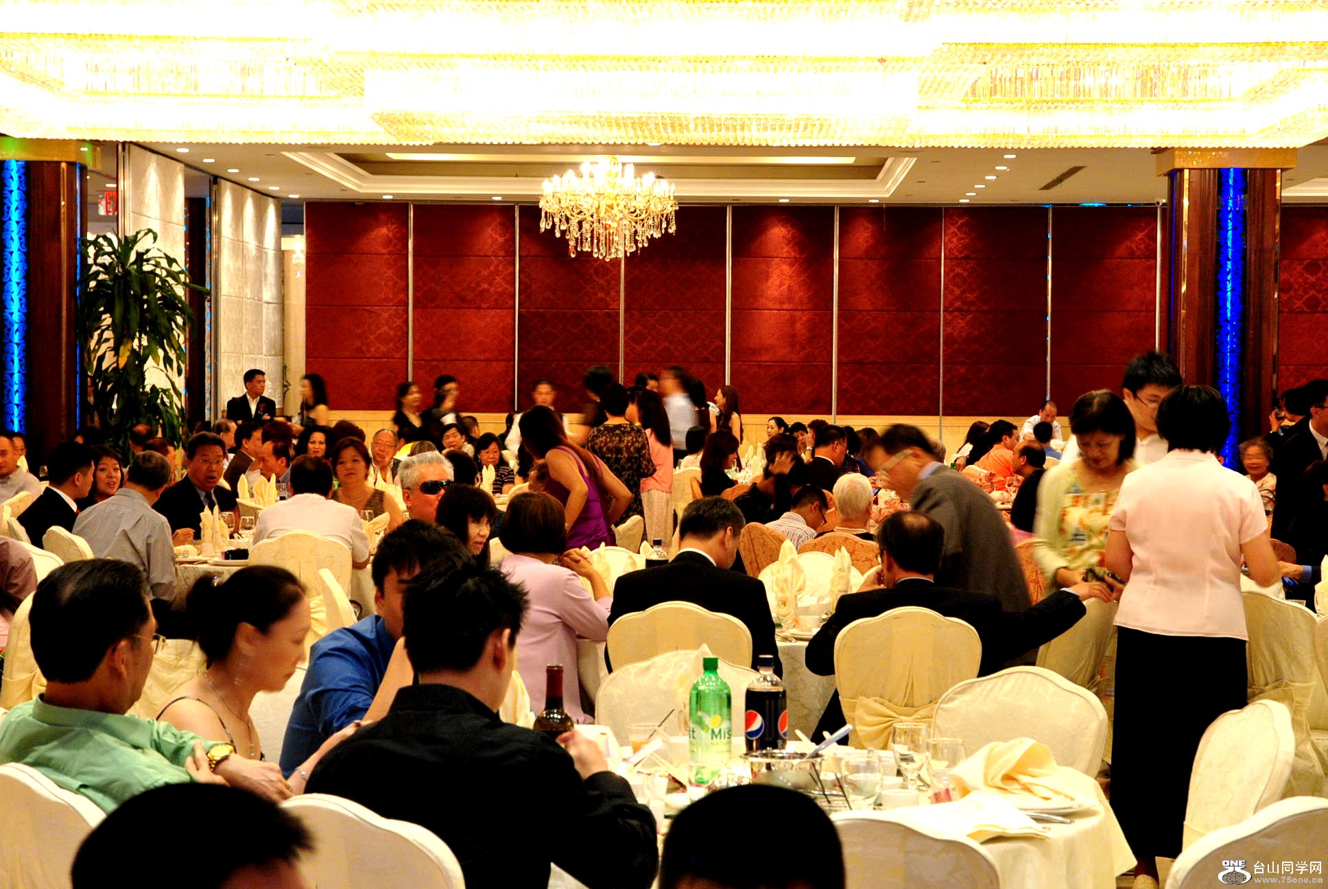 Picture 1618.jpg
