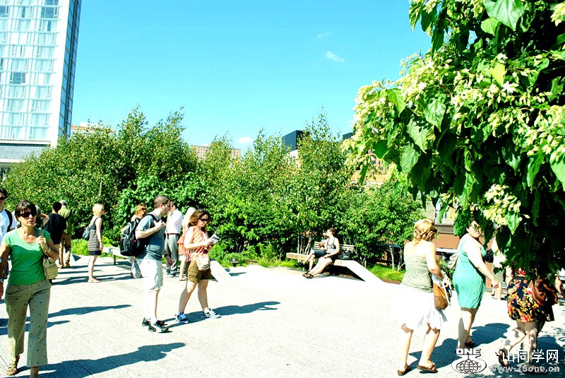 Picture 880.jpg