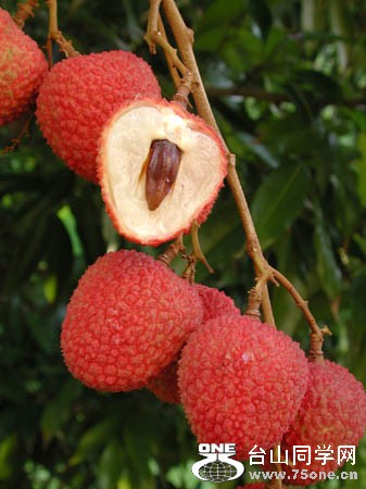 SweetHeartLycheeFruit[1].jpg