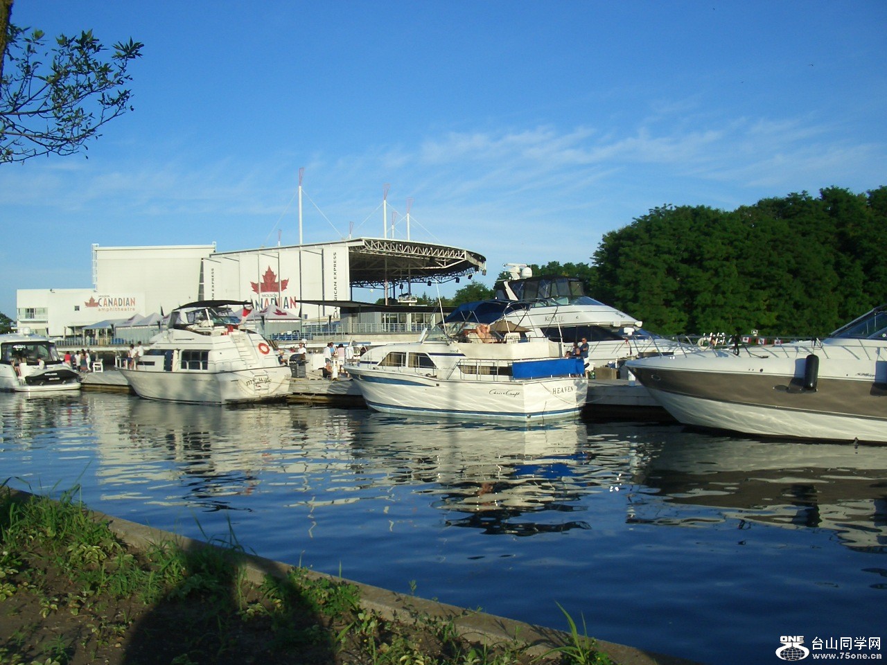  194.jpg