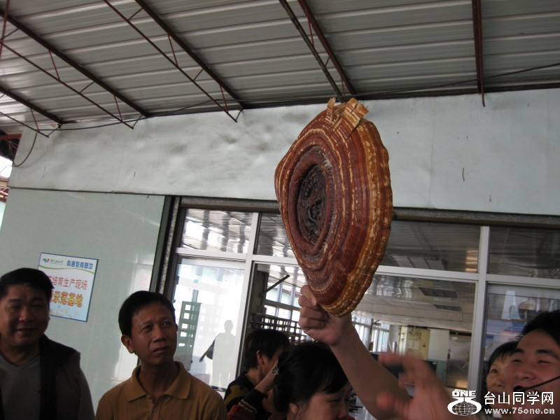 IMG_0209 (800x600).jpg