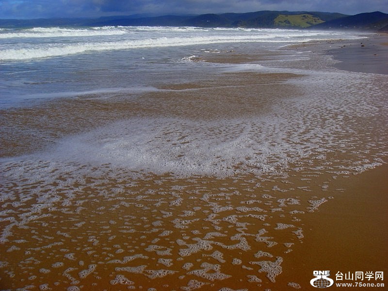 DSC07329 [800x600].jpg