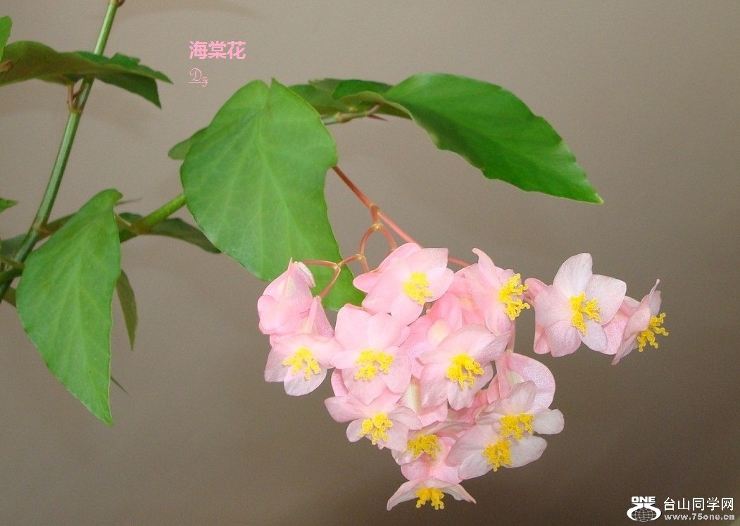 DSC09069-1.jpg