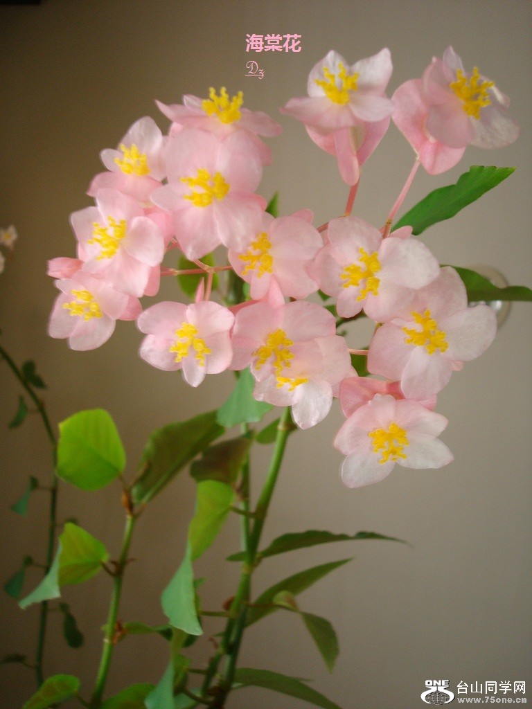 DSC09068-1.jpg