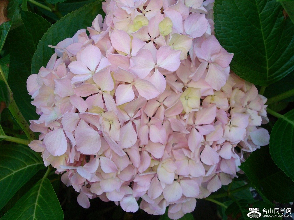 DSC08757-2.jpg