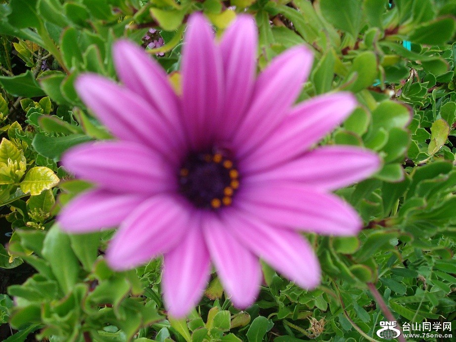 DSC08460-1.jpg