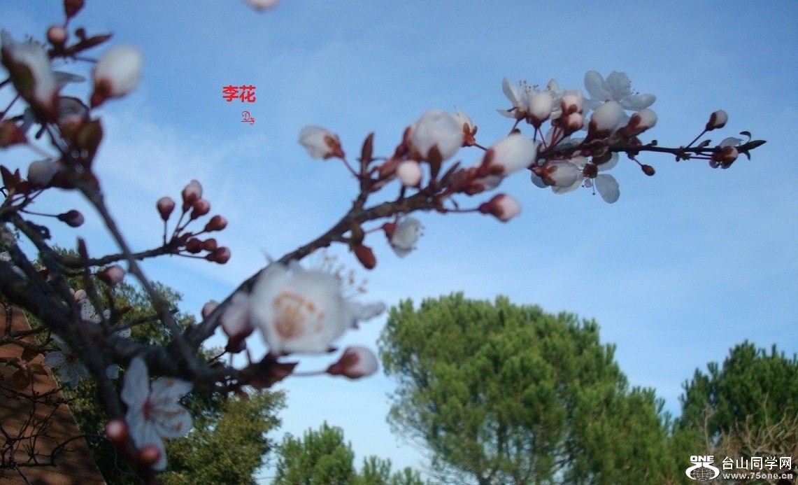 DSC06875-1.jpg