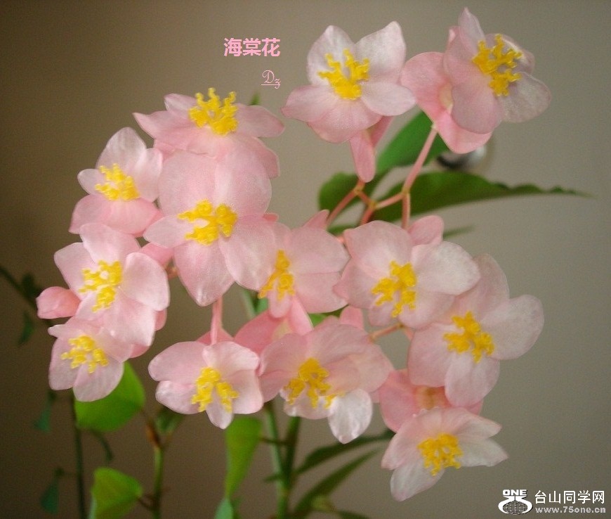 DSC09067-1.jpg