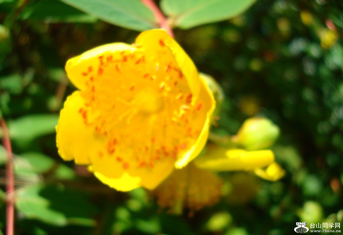 DSC08832-2.jpg