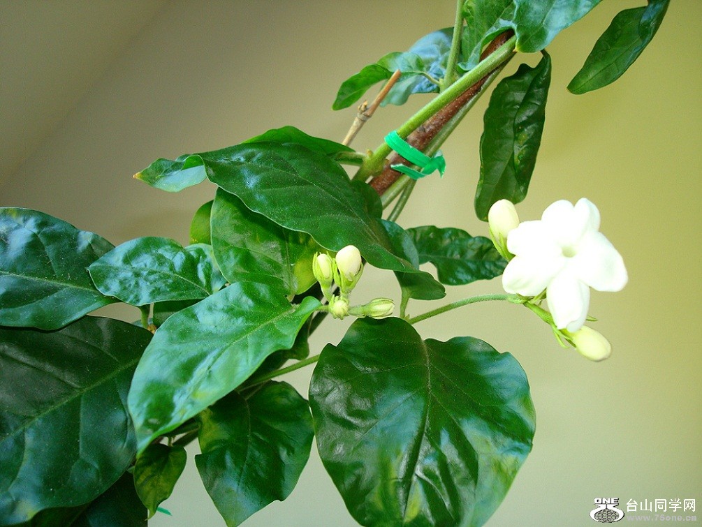 DSC08858-1.jpg
