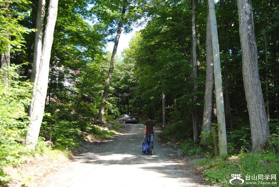 DSC_0706.JPG