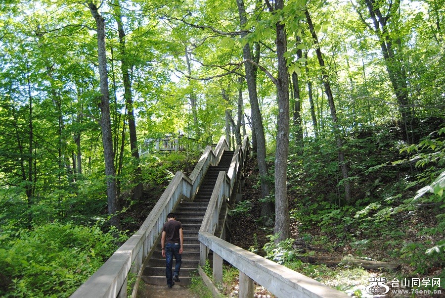 DSC_0702.JPG