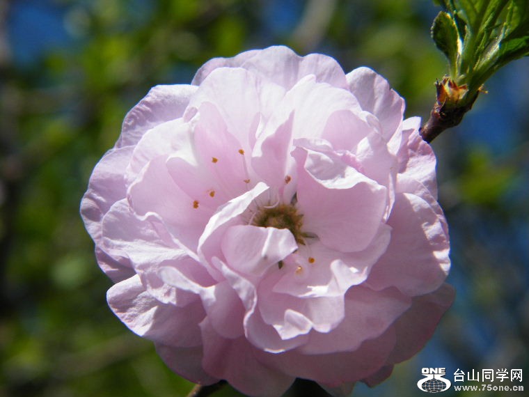 DSCF9279.JPG