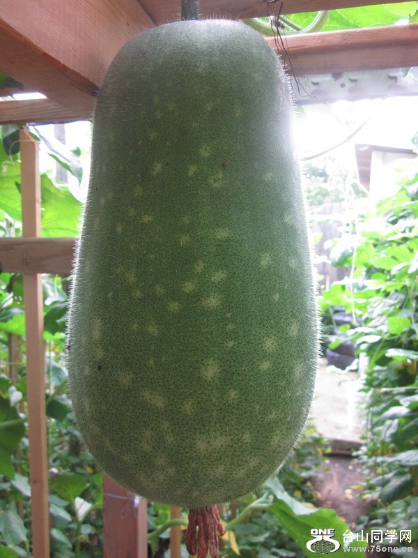 8249.jpg