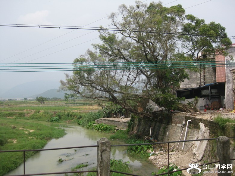 2011.7.18 049.jpg