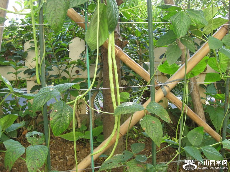 2011.7.27 063.jpg