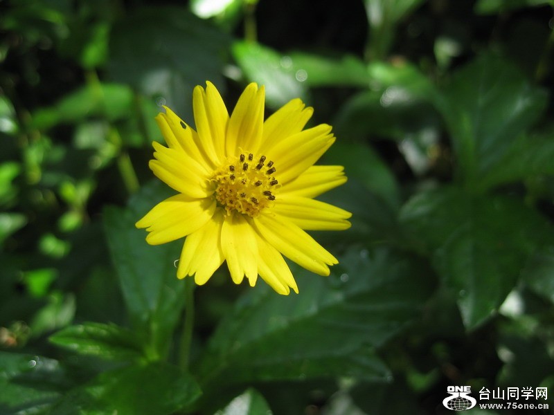 2011.7.5 014.jpg