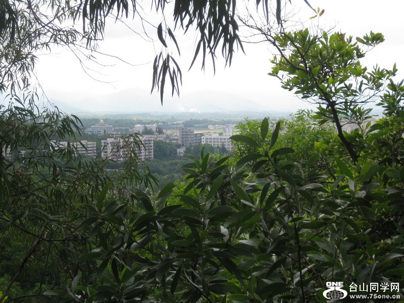 2011.7.5 029.jpg