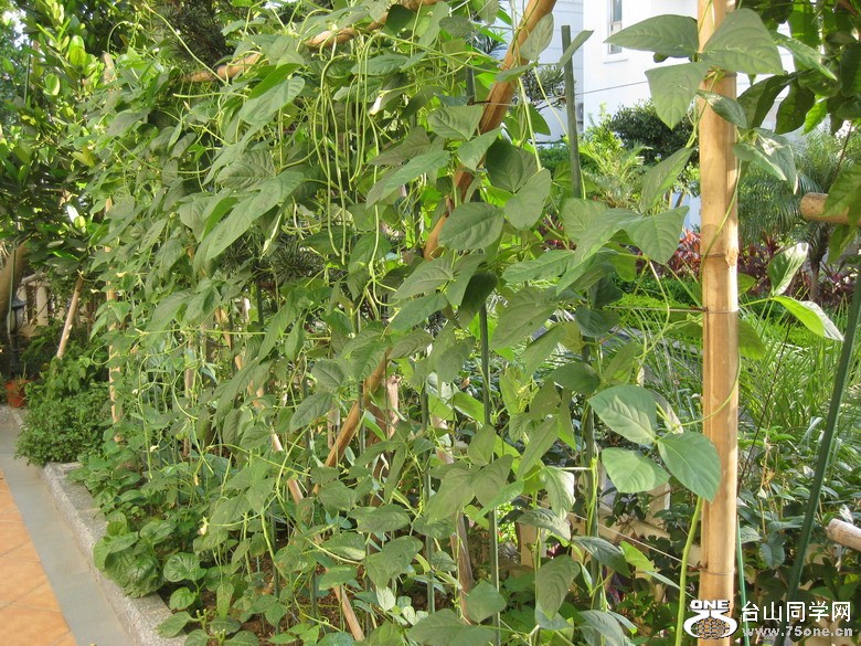 2011.7.27 086.jpg