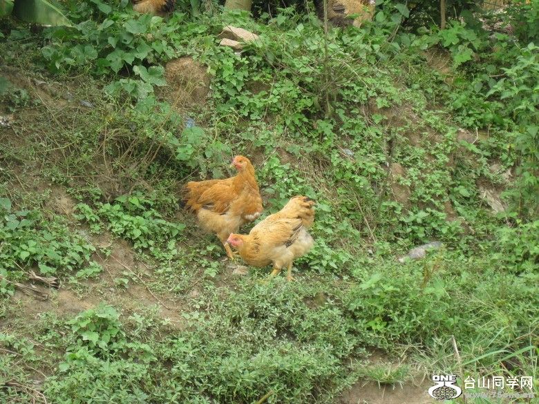 2011.7.14ȭѾۻһ 164.jpg