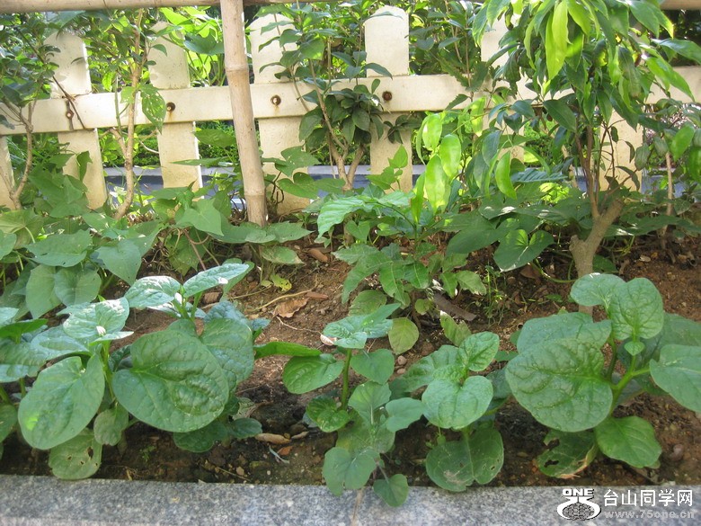 2011.7.27 085.jpg
