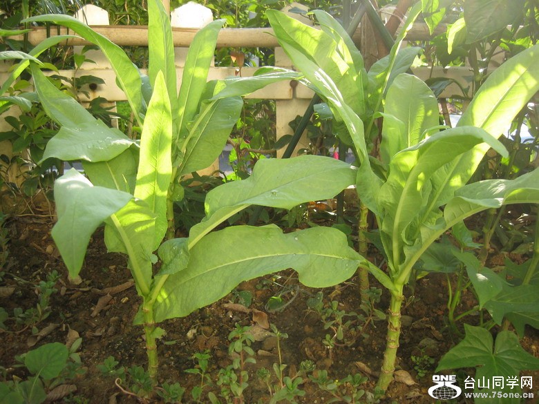 2011.7.27 083.jpg
