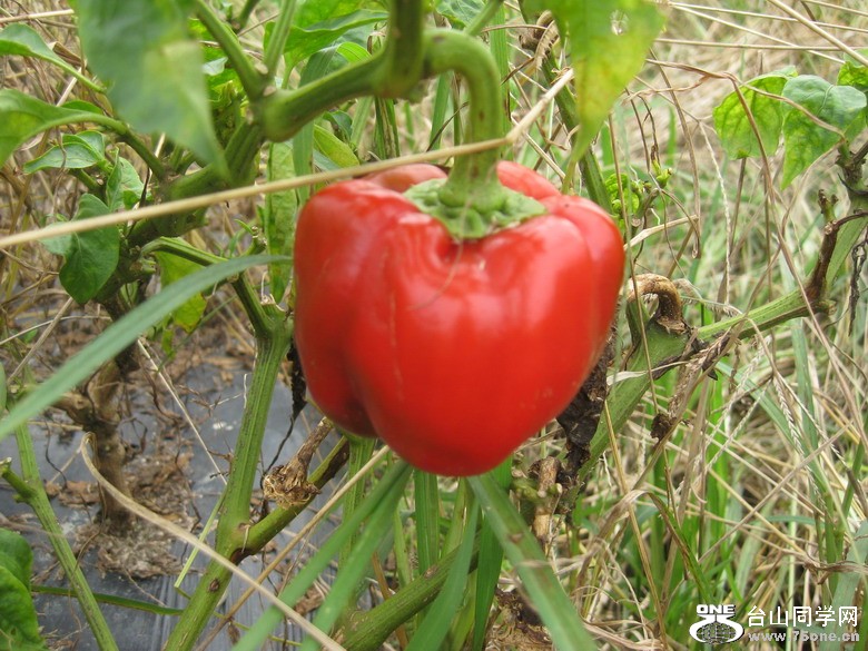 2011.7.18 026.jpg