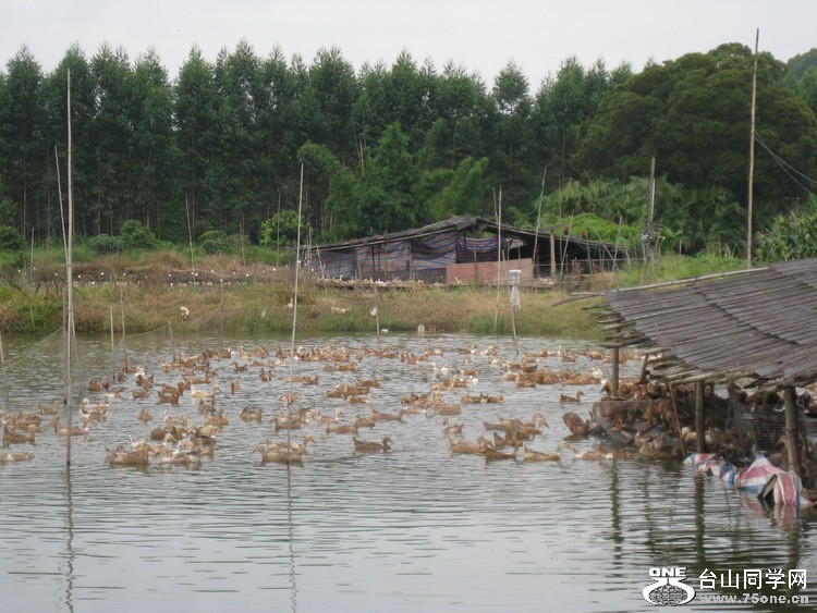 2011.7.14ȭѾۻһ 170.jpg