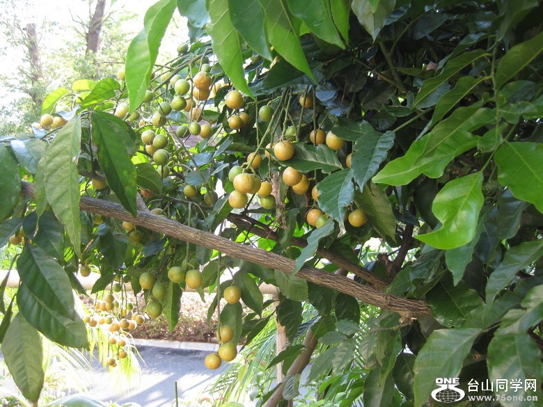 2011.7.27 065.jpg