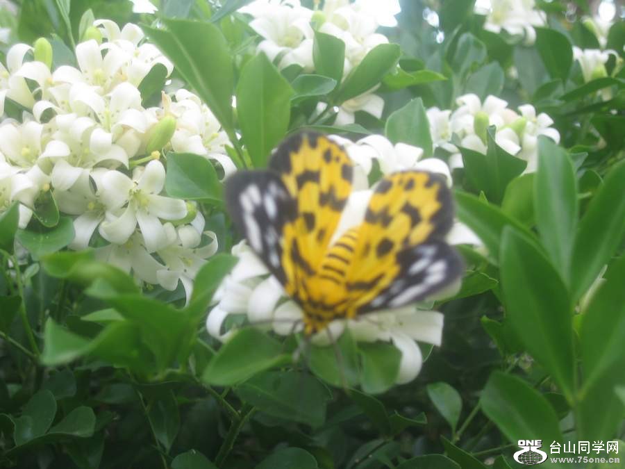 IMG_6042.jpg