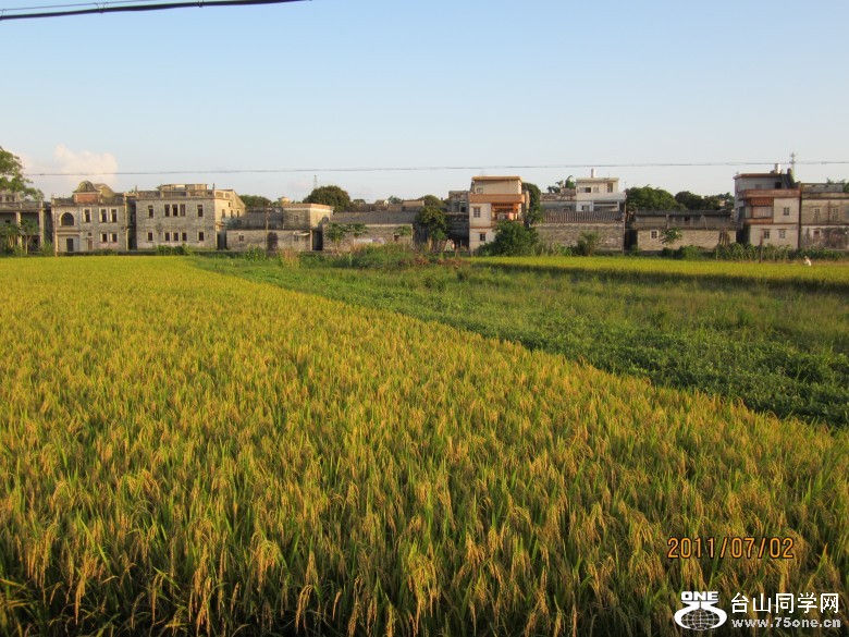地王广场 212_conew1.jpg