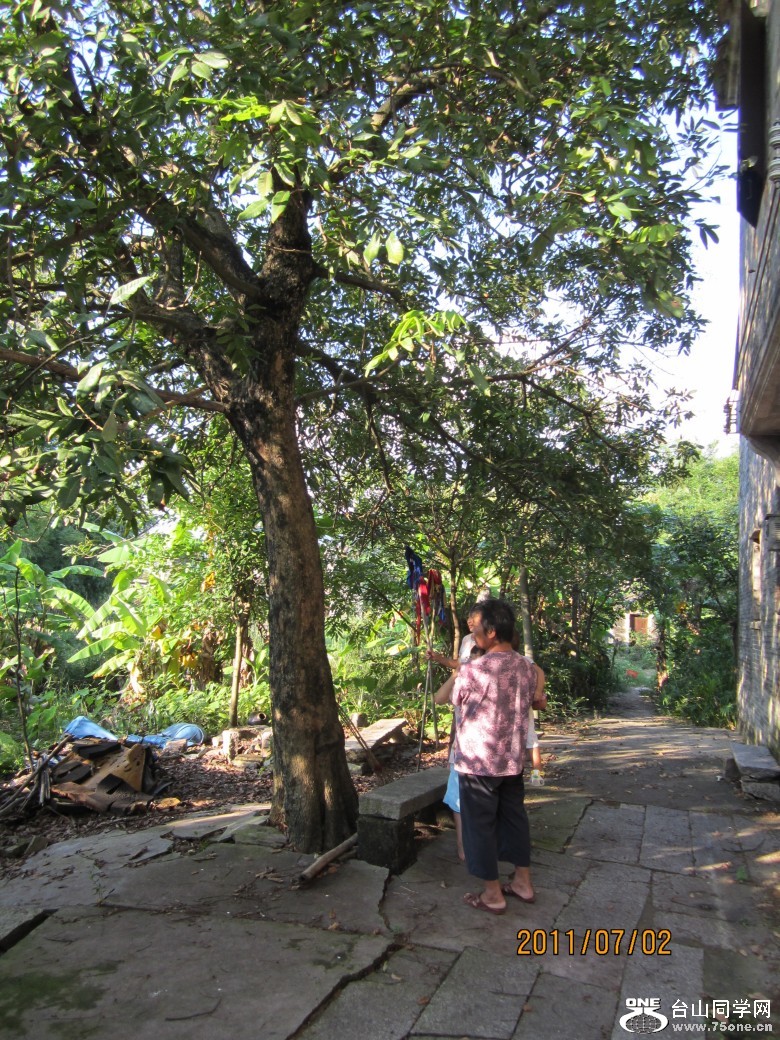 地王广场 145_conew1.jpg