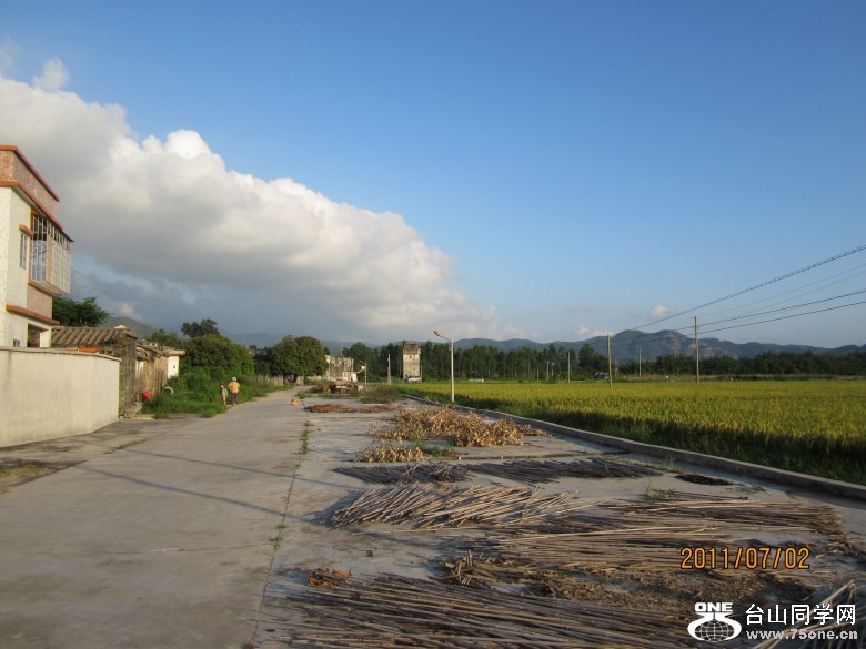地王广场 194_conew1.jpg
